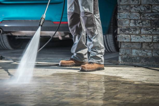 Best Driveway Pressure Washing  in Demarest, NJ